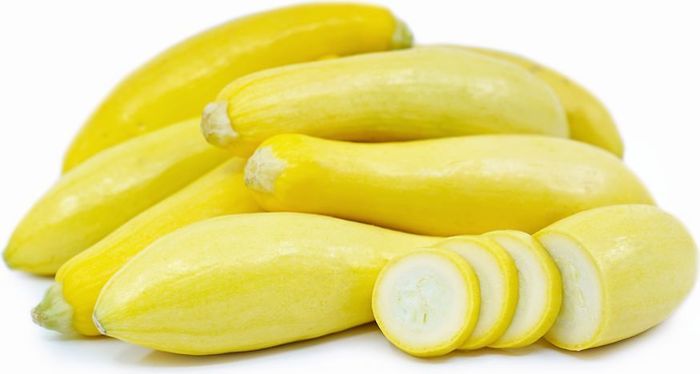 Yellow Crookneck Squash